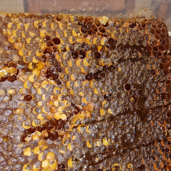 Original Dersim Bio-Wabenhonig